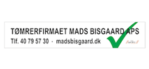 Mads Bisgaard